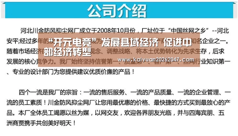 “开元电竞”发展县域经济 促进中部经济转型